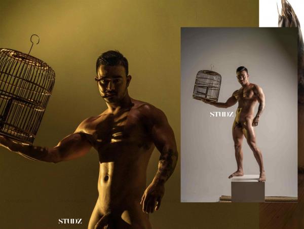 STUDZ-01--Zesty--Ebook--Video-